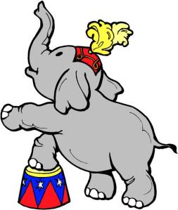 Circus Elephant