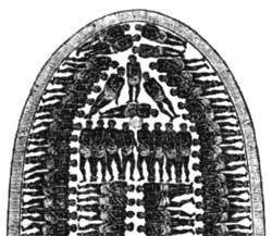 Diagram of Slave Ships